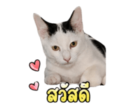 858901266