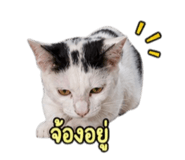 858901279