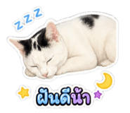 858901554