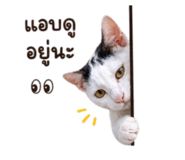 858902221