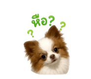 858903468