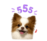 858903471