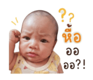 858904431