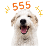 858904559