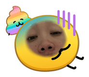 858905120