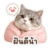 858905548