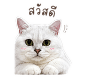 858905737