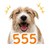 858906021