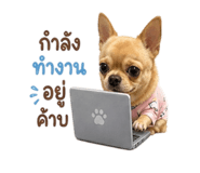 858906056
