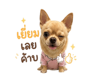 858906060