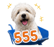 858907114