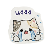 858908197