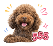 858908723