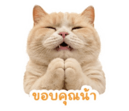 858908914