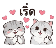 858909555