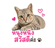 858910121