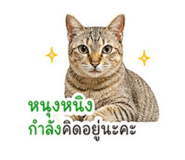858910129