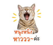 858910134