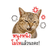 858910135