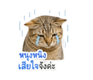 858910136