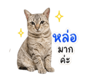 858910148