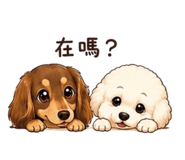 858911283