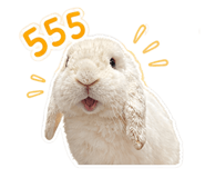 858914714