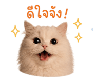858915067