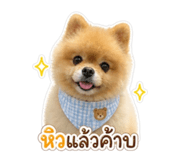 858915722