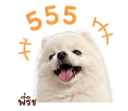 858916458