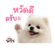 858916467
