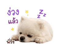 858916472