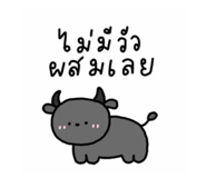 858916627