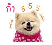 858916922