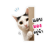 858917302