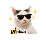 858917303