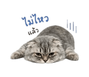 858917608