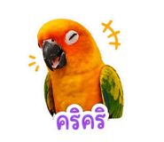 858923674
