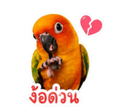 858923675