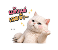858923751