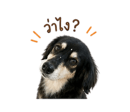 858924257