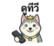 858924330