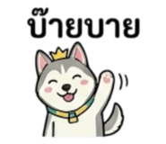 858924355