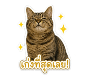 858924463