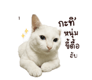 858924641
