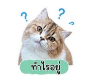 858924985