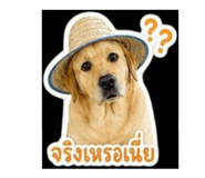 858927196