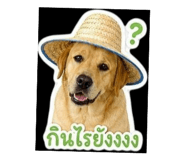 858927199
