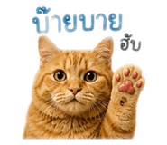 858927277