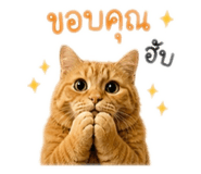 858927279